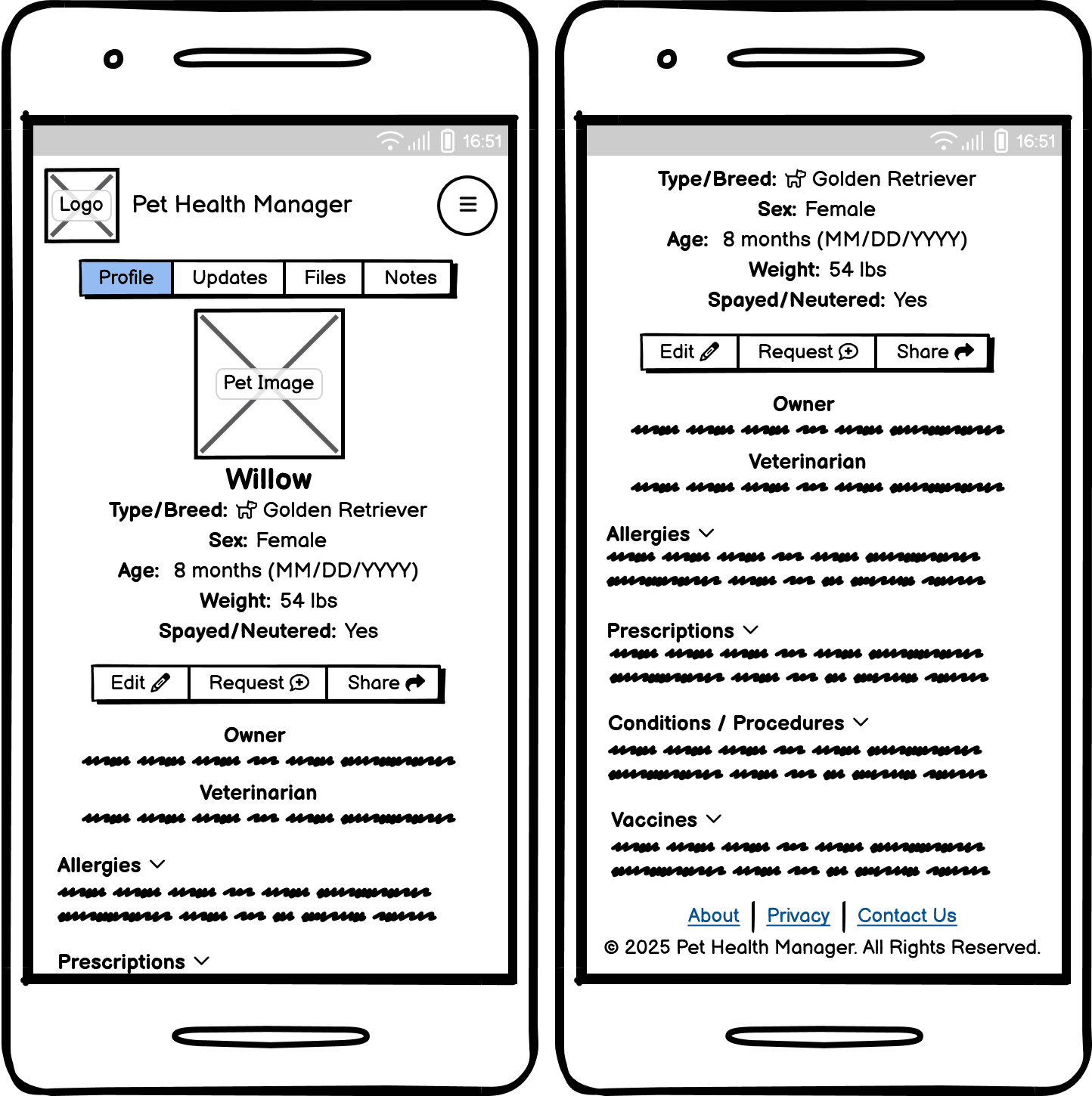A wireframe of the Pet Health manager mobile pet details page.